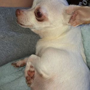 Meet your Posher, Flo